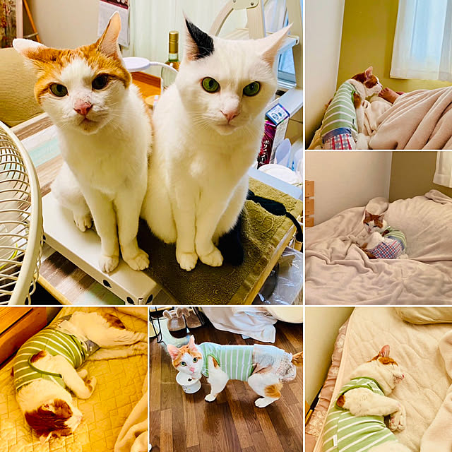 YUKAさんの部屋