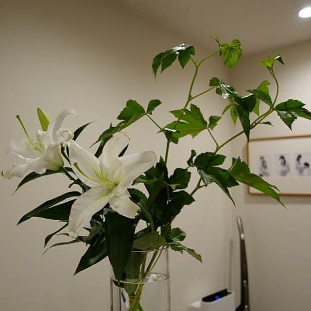 Yokoさんの実例写真