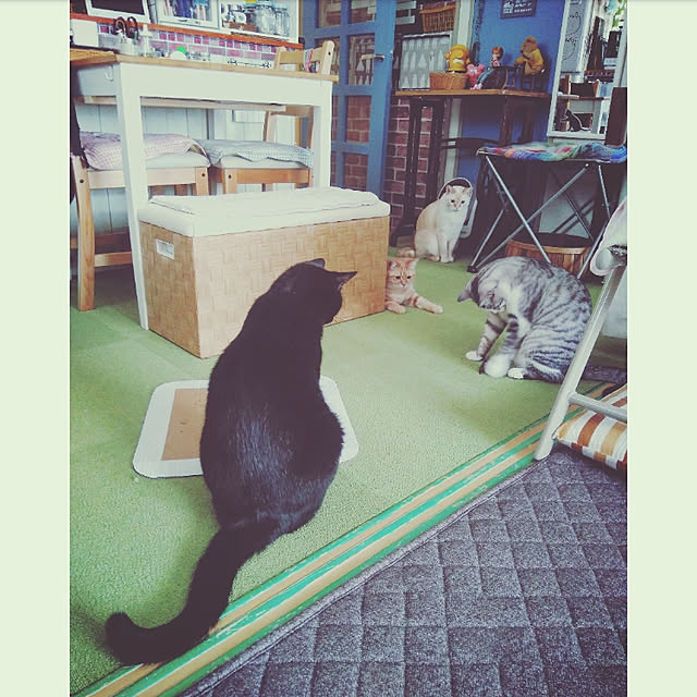 mntcさんの実例写真