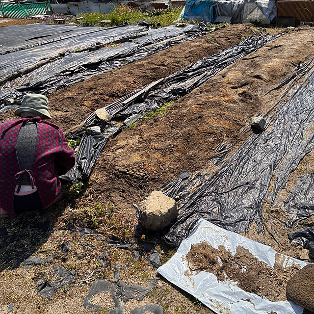 ayayayayaさんの部屋