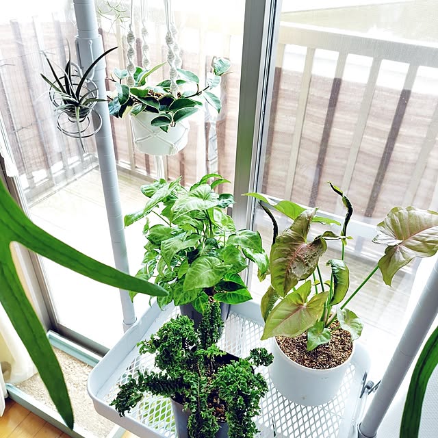 nachiさんの部屋