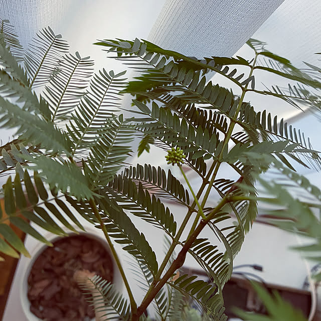 ayayayayaさんの部屋