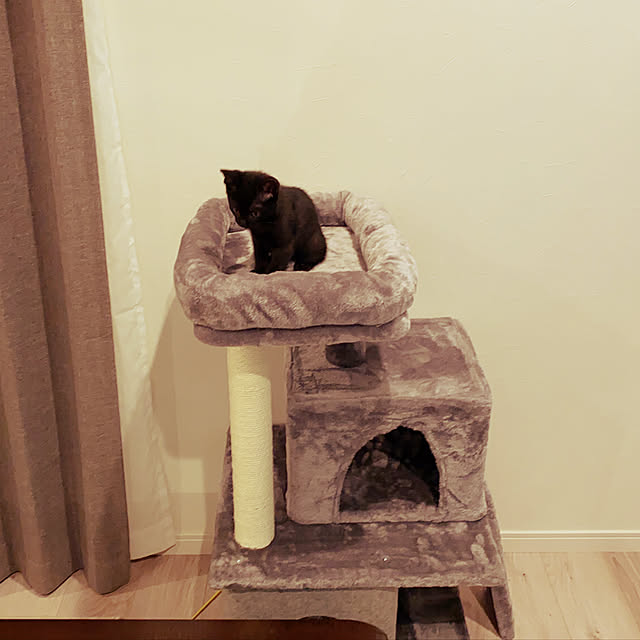 cocoさんの実例写真