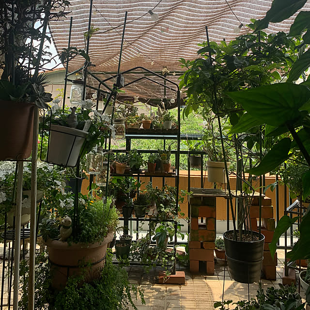 Aqettyさんの部屋