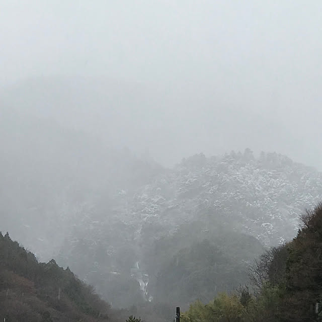 AKANEさんの実例写真