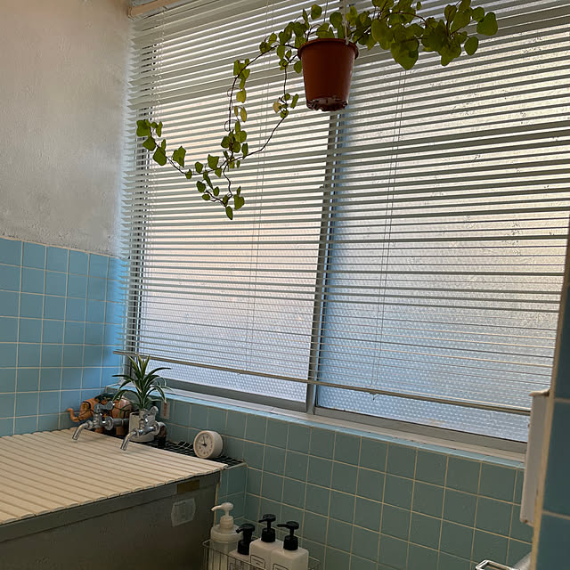 shin0719さんの部屋