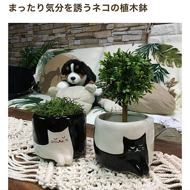 sakuranboさんの実例写真