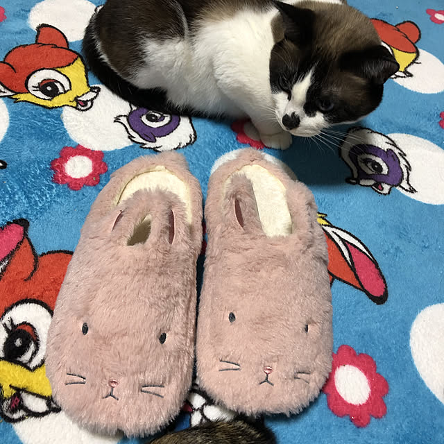 vivienne.coco-keiさんの実例写真
