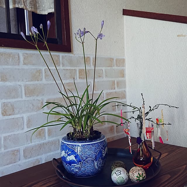 taeko0779さんの実例写真
