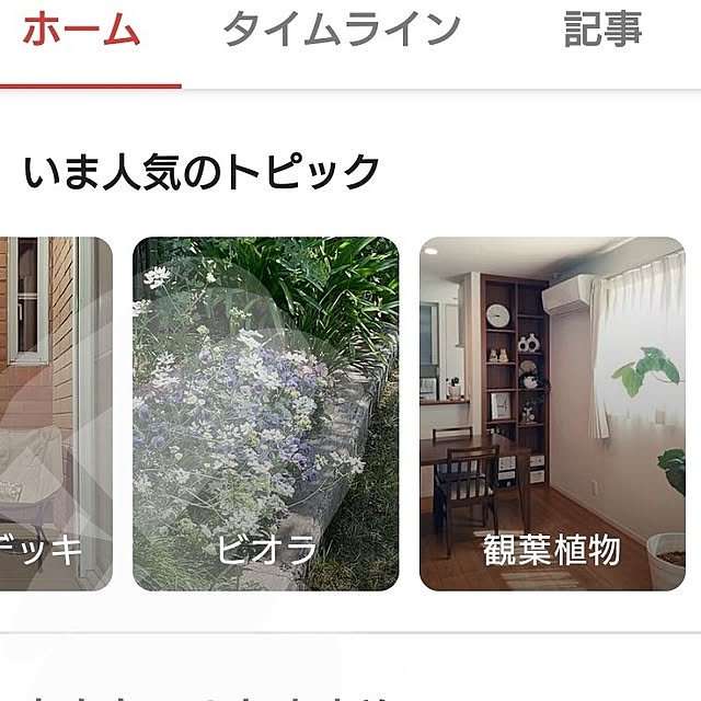 tan5さんの実例写真