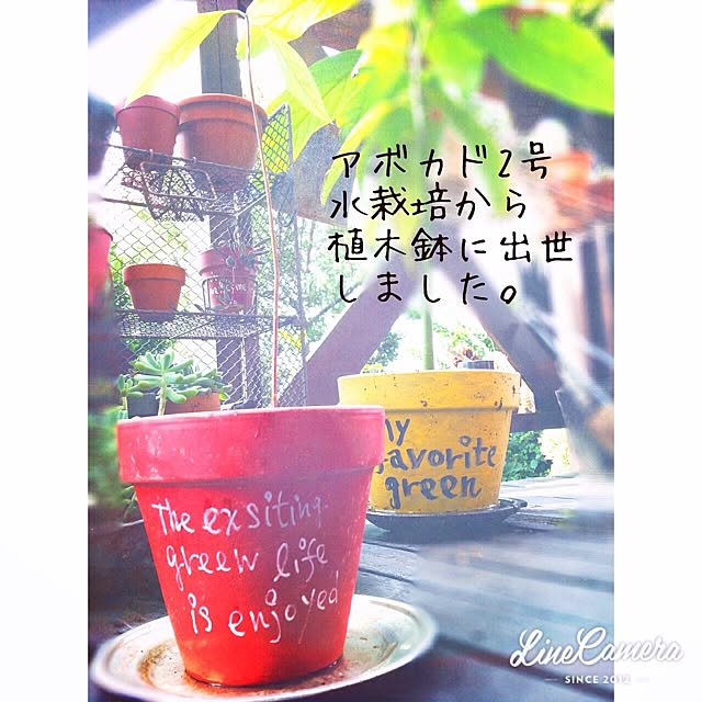 38coreさんの実例写真