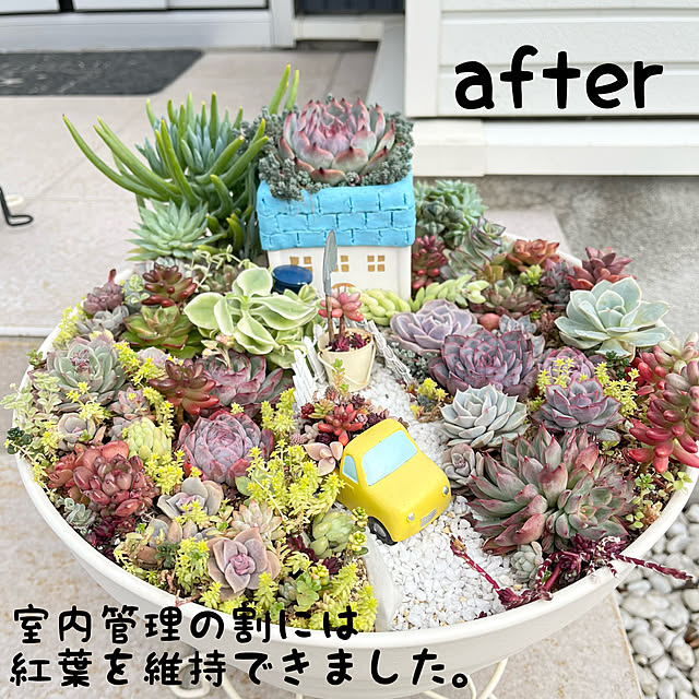 unichanさんの部屋