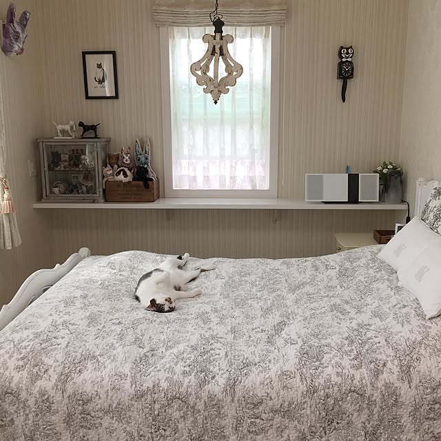 yuchiさんの実例写真