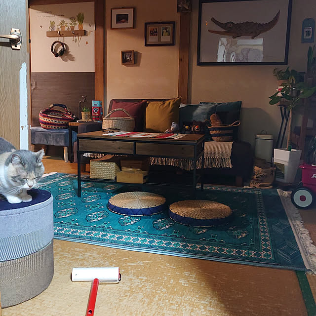 fukuさんの実例写真