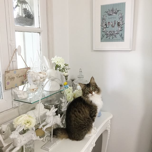 yuchiさんの実例写真