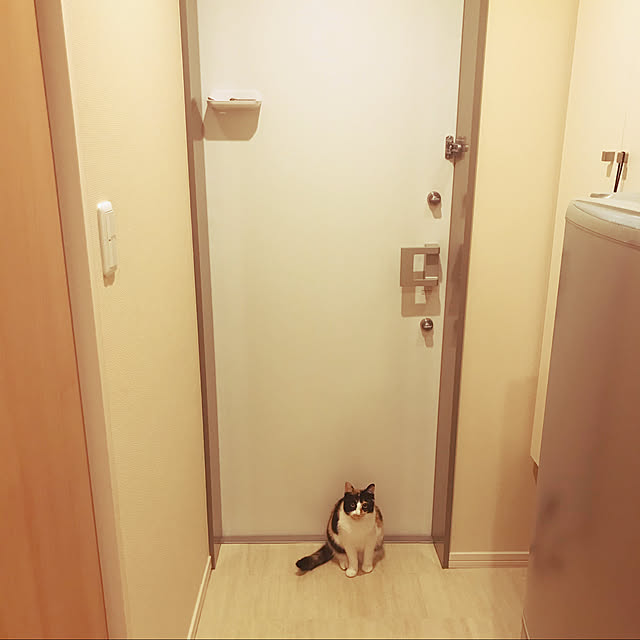 goomayuさんの実例写真