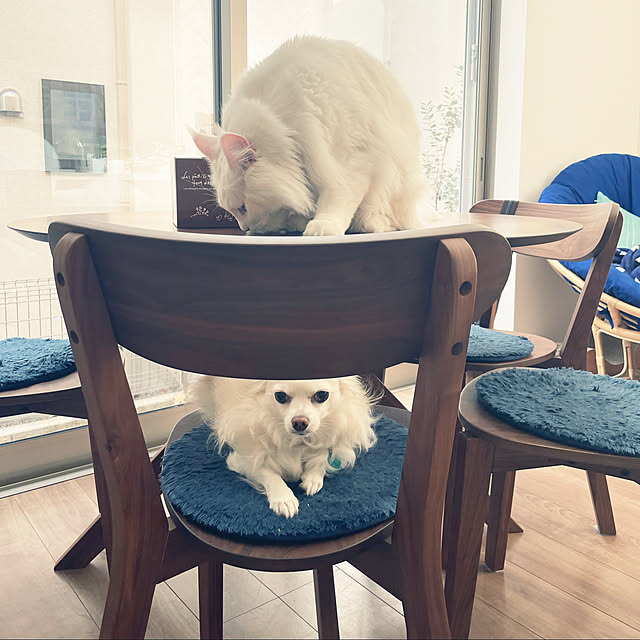 Lionaさんの実例写真
