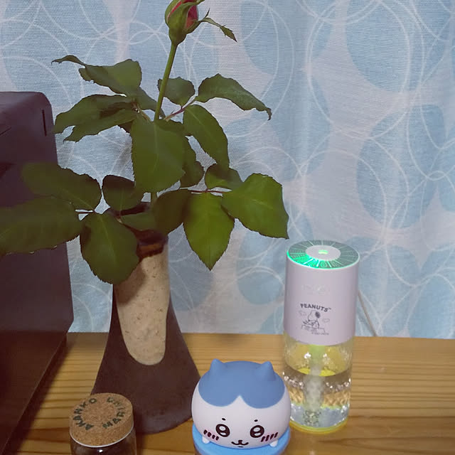 hiromiさんの実例写真
