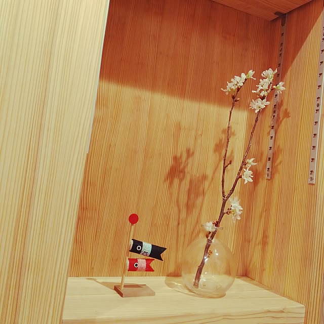 mytpnc1124さんの実例写真