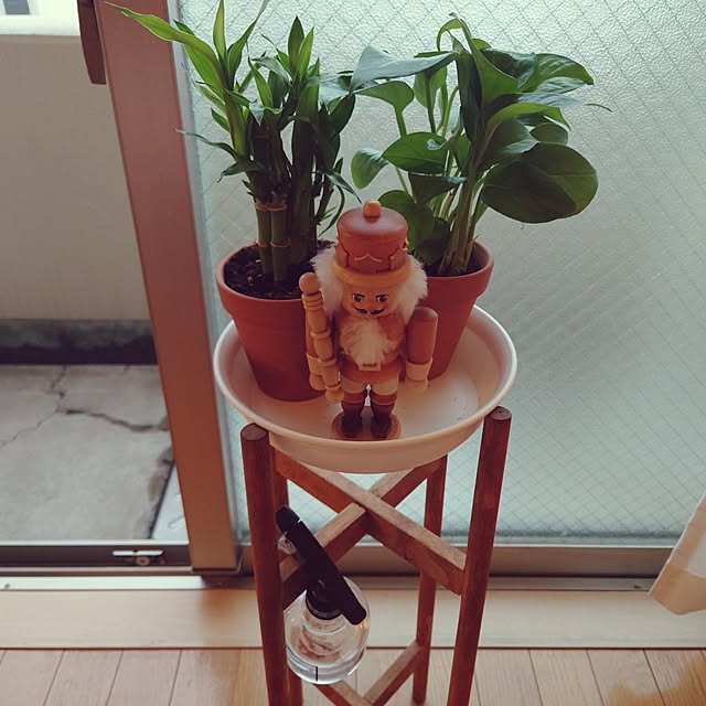 horohorotoriさんの実例写真