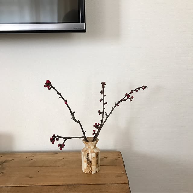 nkamtさんの実例写真
