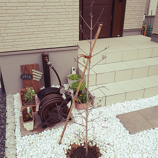 aiさんの実例写真