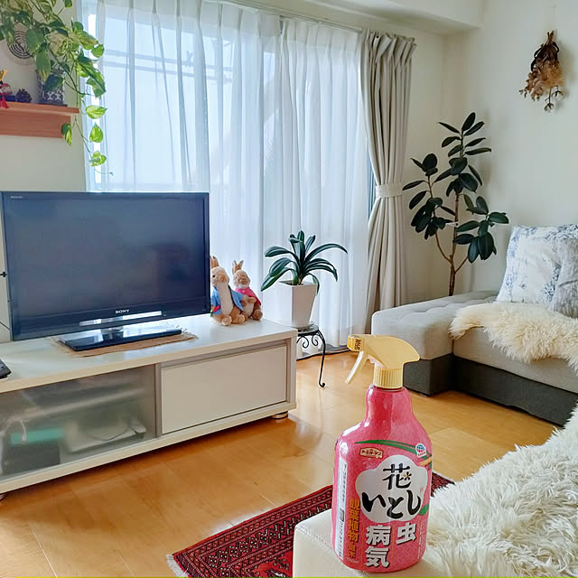 yukie-tanさんの実例写真