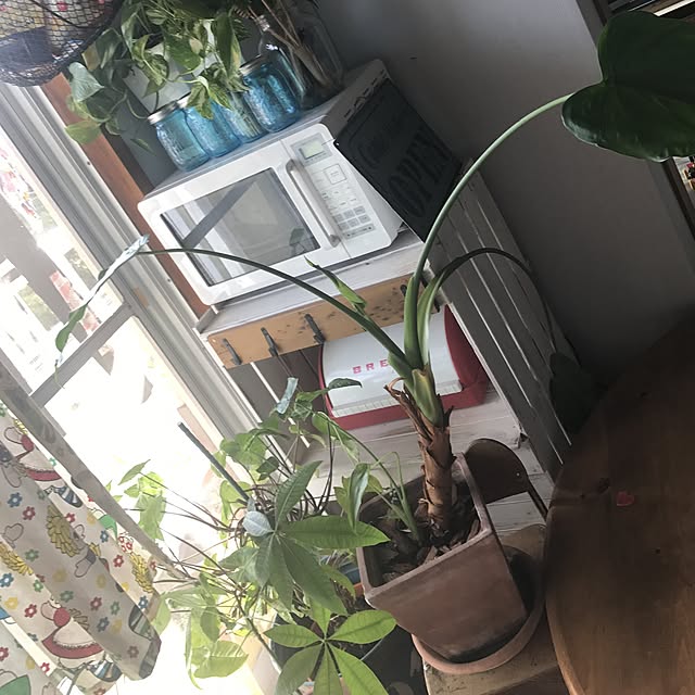 yuni1010_nia0313さんの実例写真