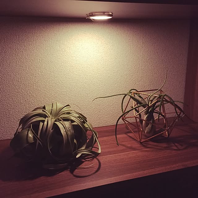 kacchiさんの実例写真