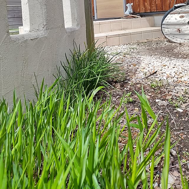 t.yumiさんの部屋