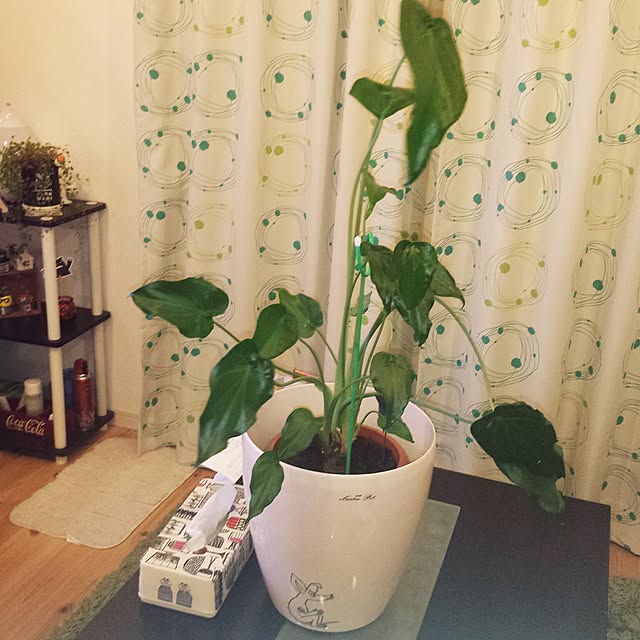 seiさんの実例写真