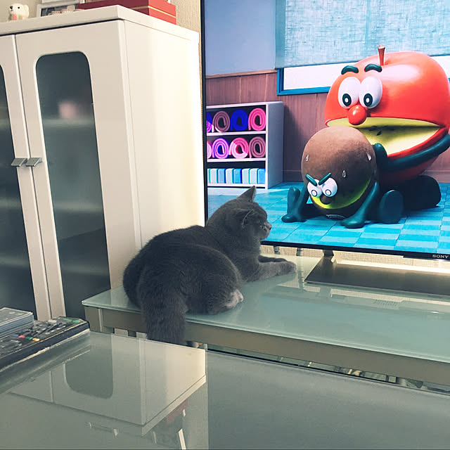 kittyさんの実例写真