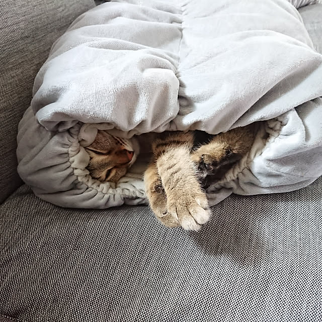 maikyさんの実例写真
