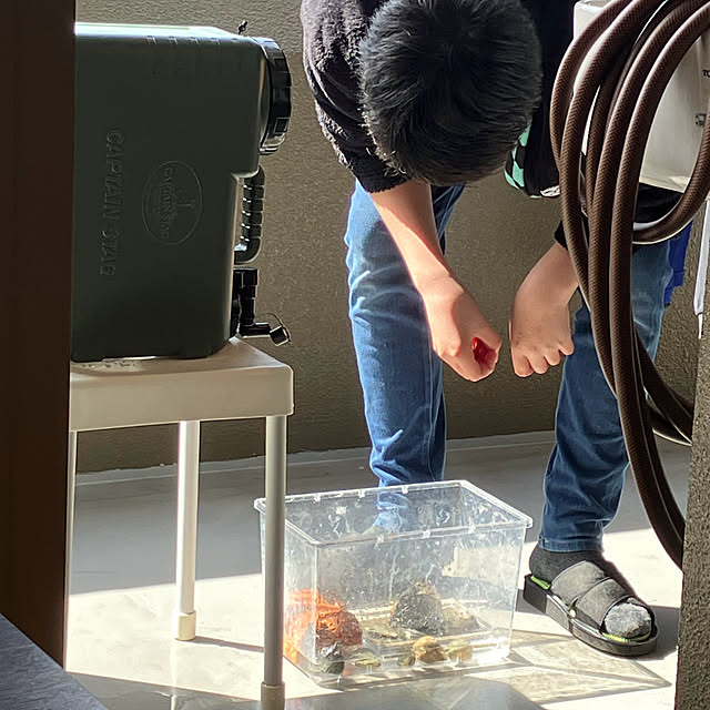 koshiregutyoさんの部屋