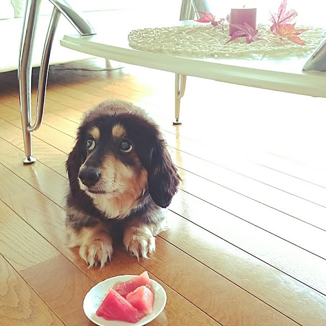hiyo.pietさんの実例写真