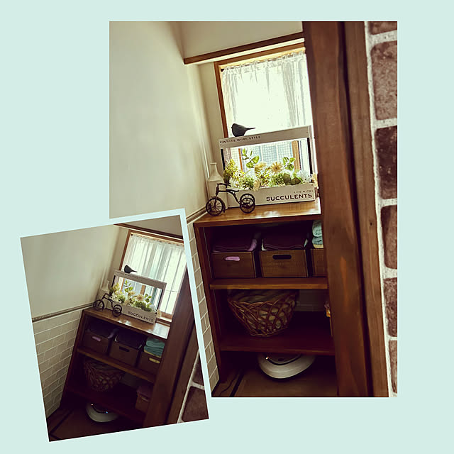 cotaさんの部屋