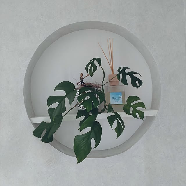 玄関/入り口/ナチュラルモダン/飾り棚ディスプレイ/海外インテリア/海外インテリアに憧れる...などのインテリア実例 - 2024-06-11 19:39:31