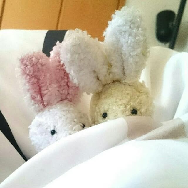 Yuki_sharaさんの実例写真