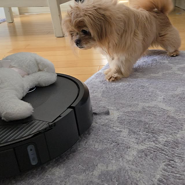 tulipさんの実例写真