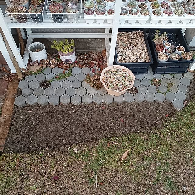 soyokoさんの実例写真