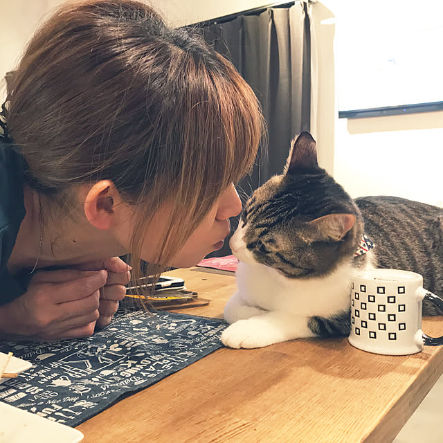 仲良し/嫁さんと猫/キッキンカウンターの上/ねこのいる日常/Mic Mac...などのインテリア実例 - 2020-06-29 22:08:58