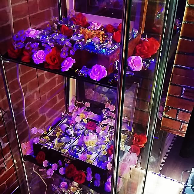 k-kさんの実例写真