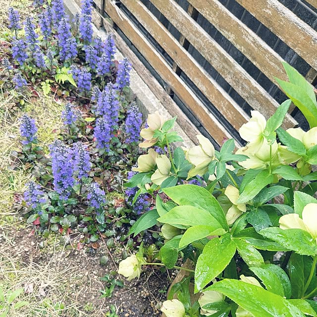 mofukoさんの部屋