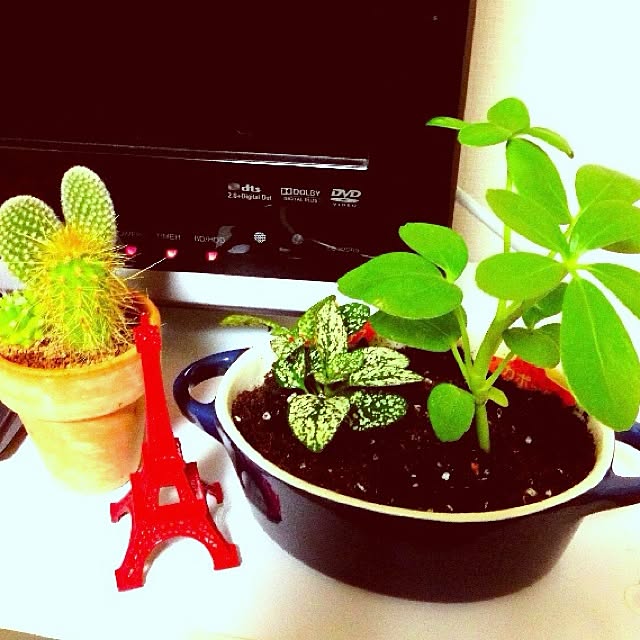 p-kon.さんの実例写真