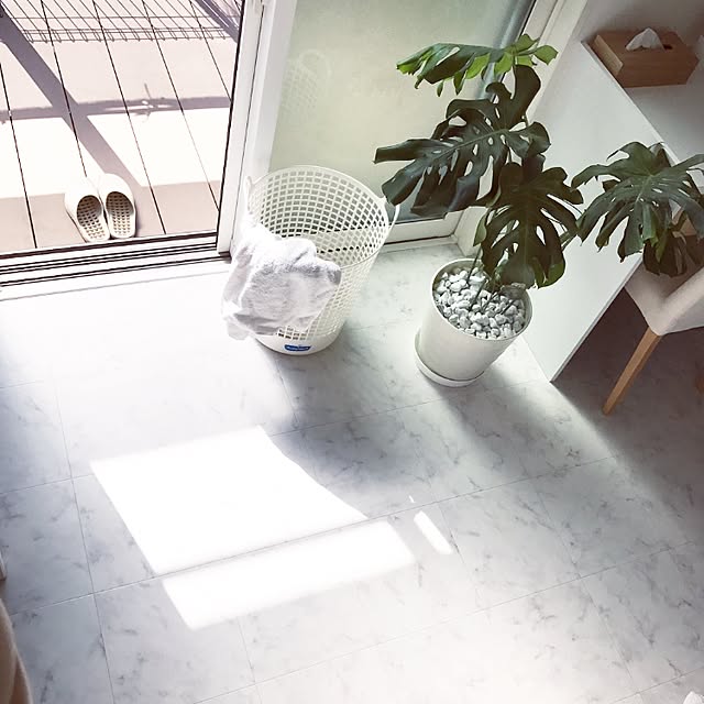 shiii_1025さんの実例写真