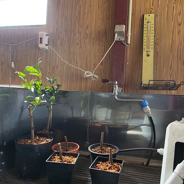 Rubiconさんの部屋