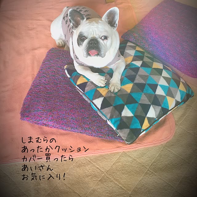 38coreさんの実例写真