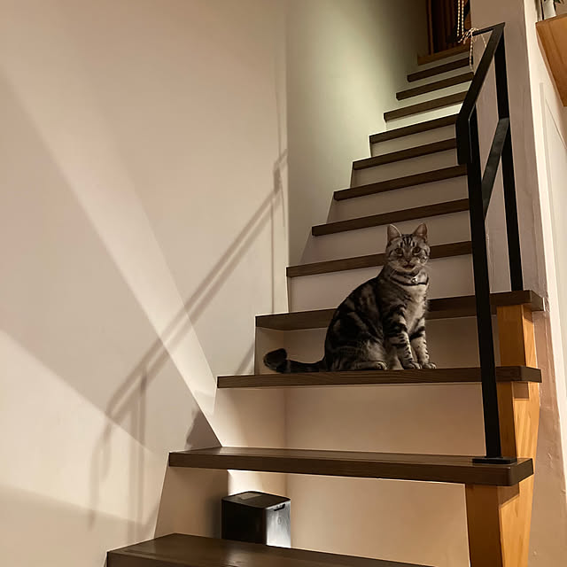 mkmkmoominさんの部屋