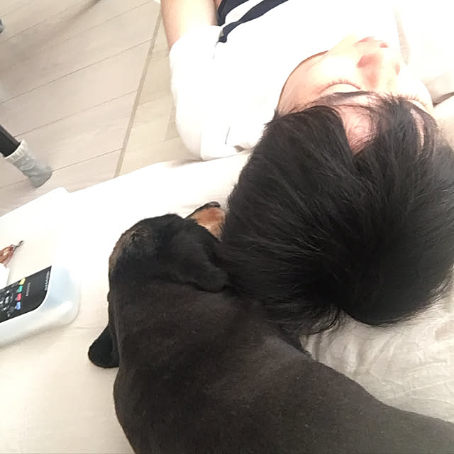 ohanaさんの実例写真