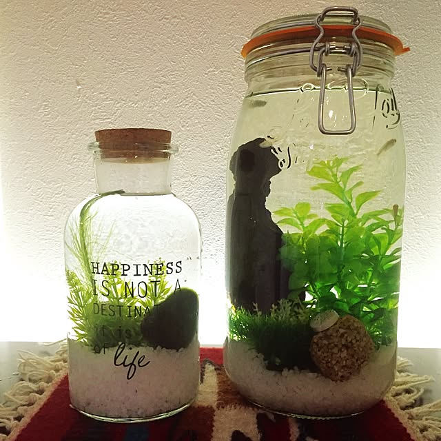 momocoさんの実例写真